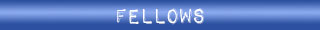 Team – Fellows