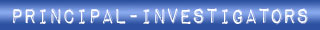 Team – Principal-Investigators